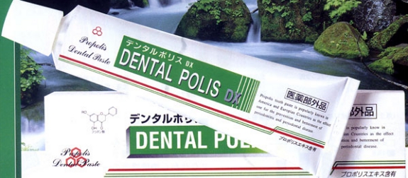 dental-polis.jpg
